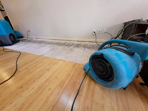 Professional Water Extraction technician working in Idledale, CO